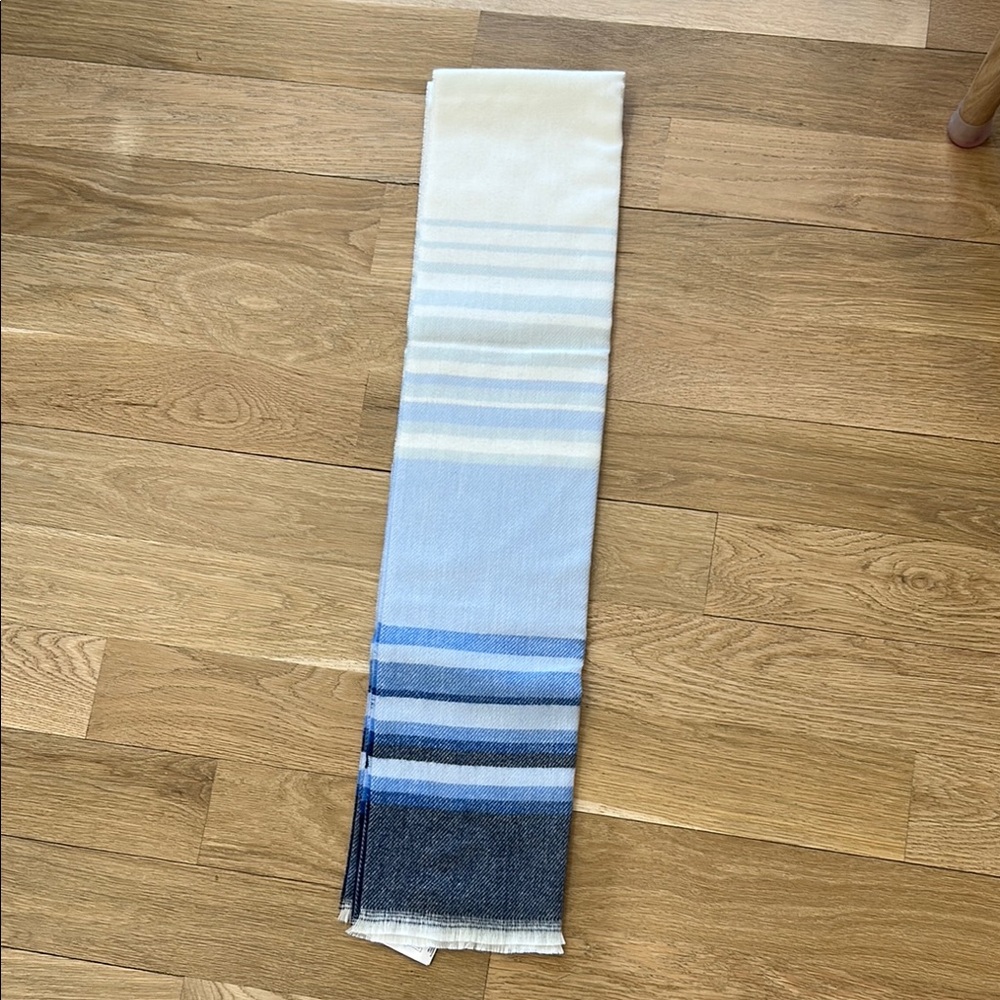 Ridiculously soft blue striped scarf